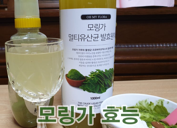  모링가 효능 및 잎 분말 원액 먹는방법 알려드려요