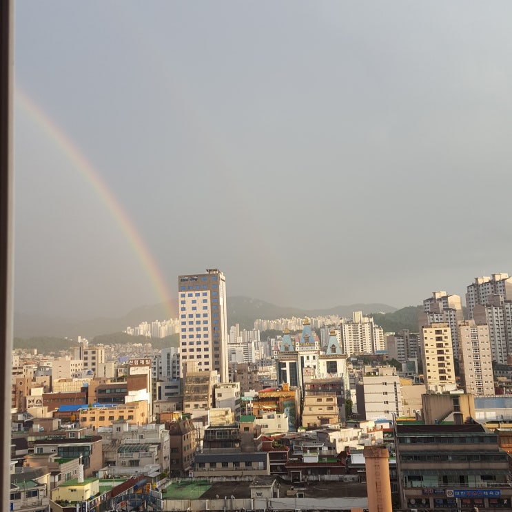  지난 주말에 맞이한 무지개빛 사랑스럽다