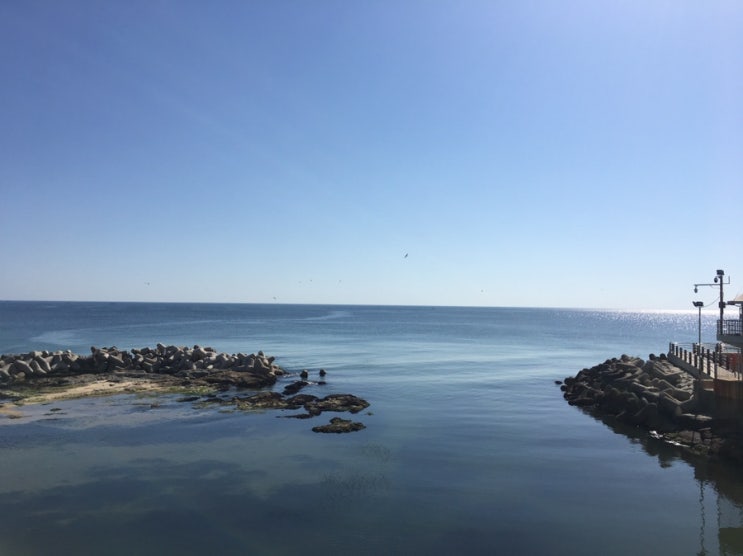  혼자 뚜벅이 강릉 1박2일 강릉여행 / 강원도 여행, 경포해변, 경포대, 수제버거 폴앤메리, 오션뷰 카페 롱블랙, 강릉빵다방, 강릉 중앙시장, 월화거리