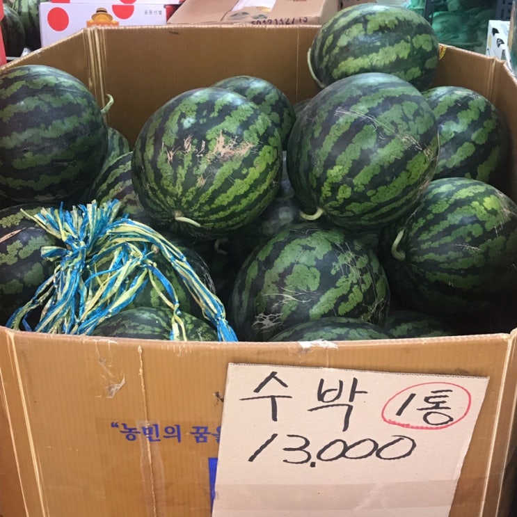  여름은 젊음이야 !