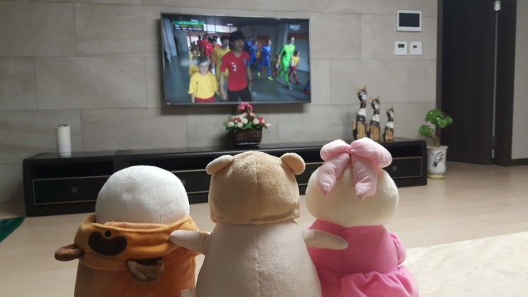  2019 fifa u-20 월드컵 결승전 지방이인형과 응원