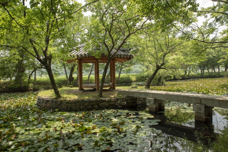  창원근교에서 사진을 담아보다[지세포방파제,고성벚꽃터널,장산숲]