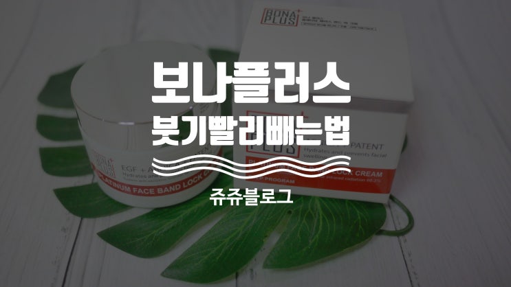  붓기빨리빼는법 보나플러스 바르고 먹고~