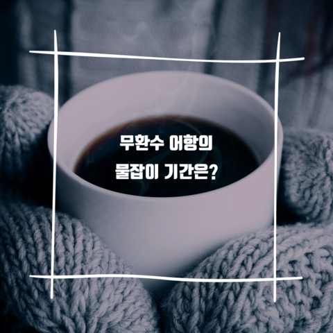  무환수 어항의 물잡이 기간은?