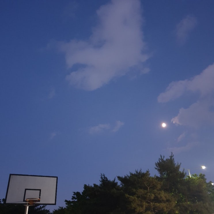  오늘도 혼영/U-20결승
