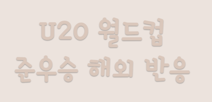  u20 월드컵 준우승 가생이닷컴 일본 해외 반응