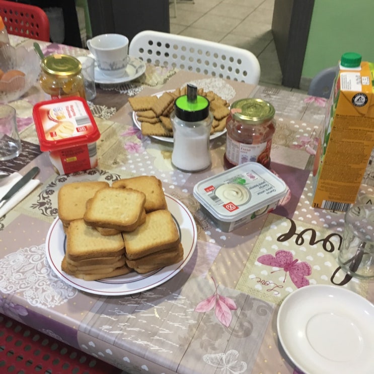  산티아고 순례길 day 21. 만시야 데 라스 물라스 (Mansilla de las Mulas) -> 레온 (Leon)
