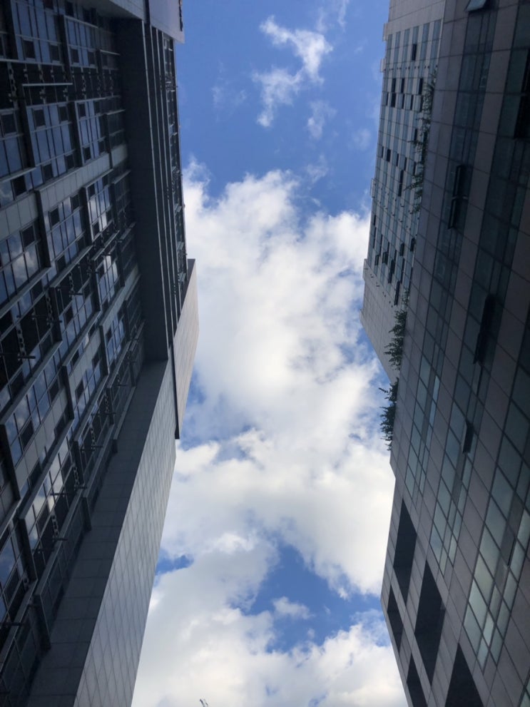  일상 190607-190614