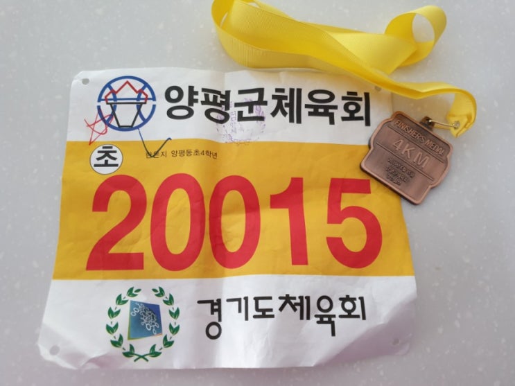 양평이봉주마라톤대회 남한강마라톤대회