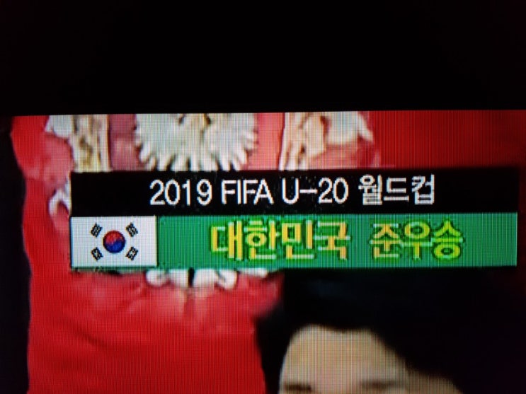  2019  FIFA  U-20  월드컵 준우승