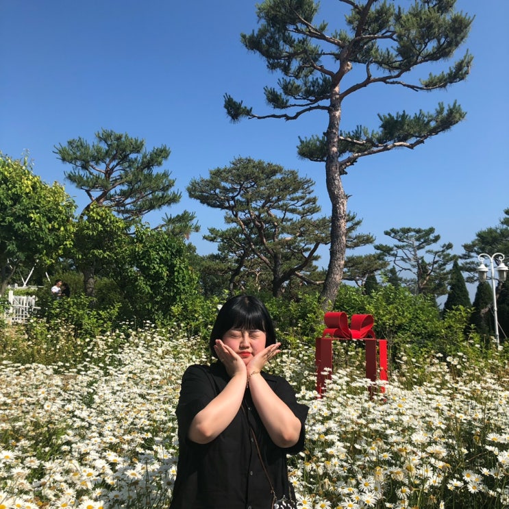  6월 : 세번째 일기