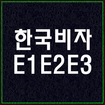  한국비자종류8 (E1 E2 E3비자)