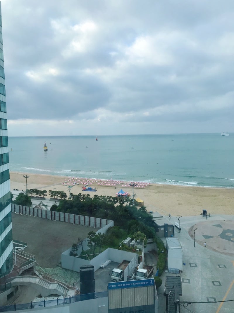 1박 2일 급 부산여행(2) : 네이버 블로그