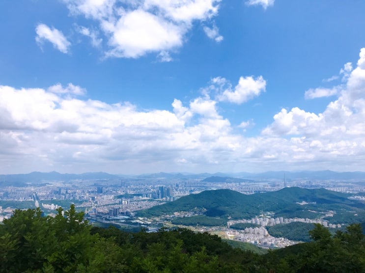 청계산 등산 (원터골입구 - 매봉)