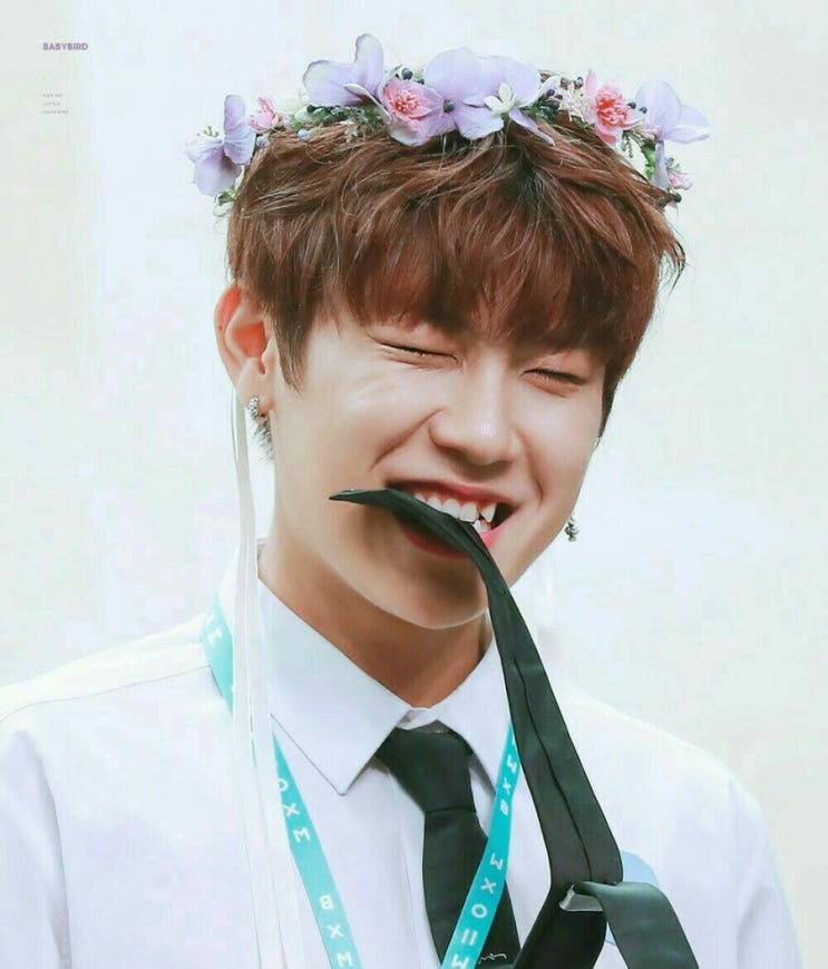  [워너원 빙의글/ AB6IX 빙의글/ 박우진 빙의글] 옆집 오빠는 01