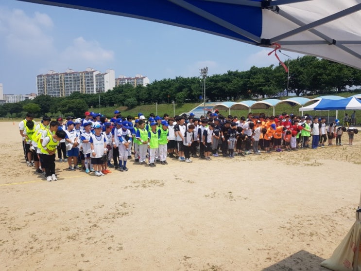  #라이온즈태권도#성당동태권도#본리동태권도#줄넘기#티볼#축구#성당초등학교#남부초등학교#본리초등학교#태권도#파워점핑줄넘기
