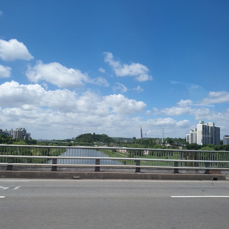  5월 넷째 주