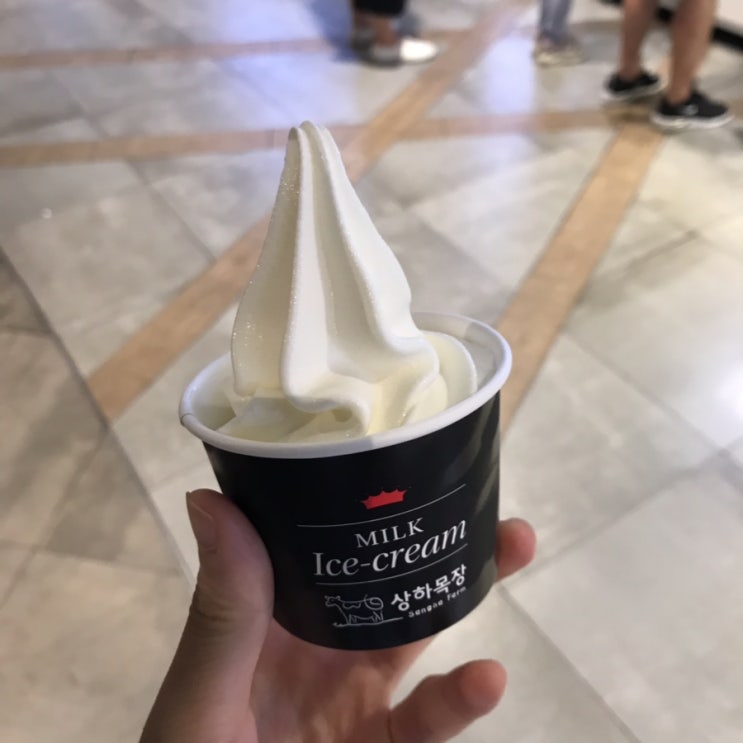  폴바셋 아이스크림과 메뉴