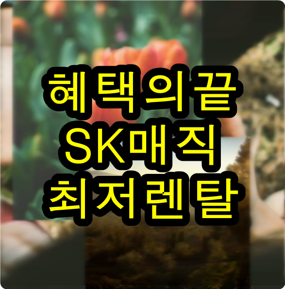  10평형공기청정기 바로여기