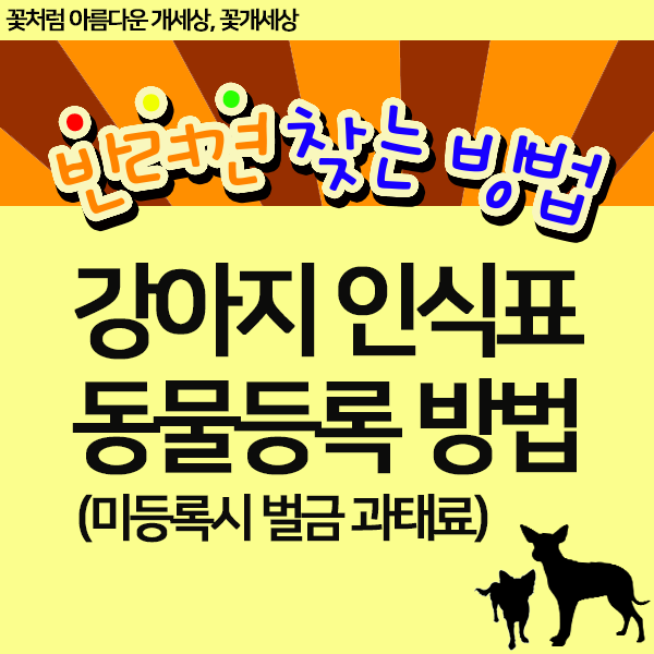  강아지 인식표 종류/애완견 동물등록 방법 벌금 과태료 /찾는 방법