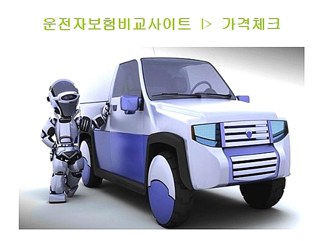 운전자보험보장 좀더낮게 