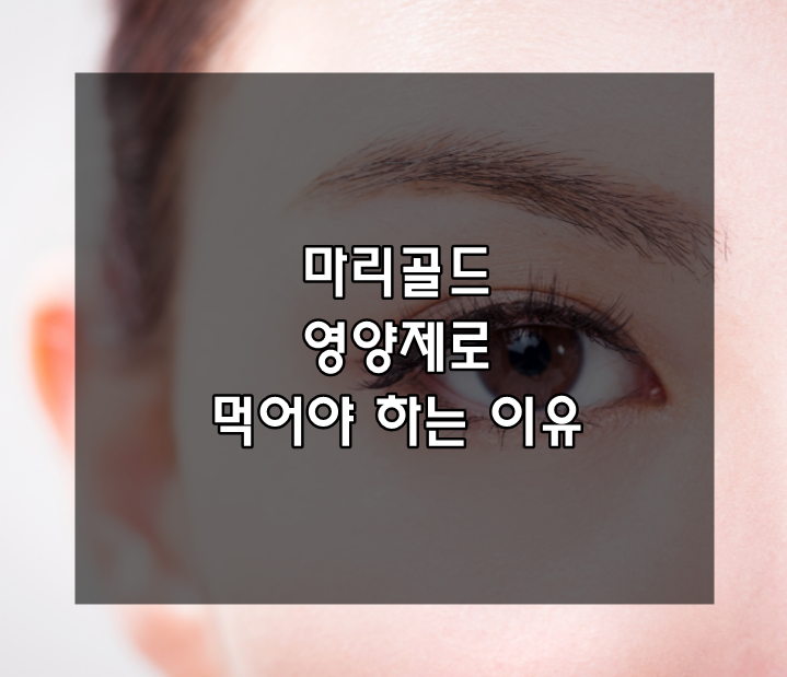  마리골드 영양제로 먹어야 하는 이유