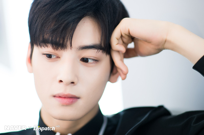  차은우 서울대 성형전 부모님 금수저 자세히알아보자