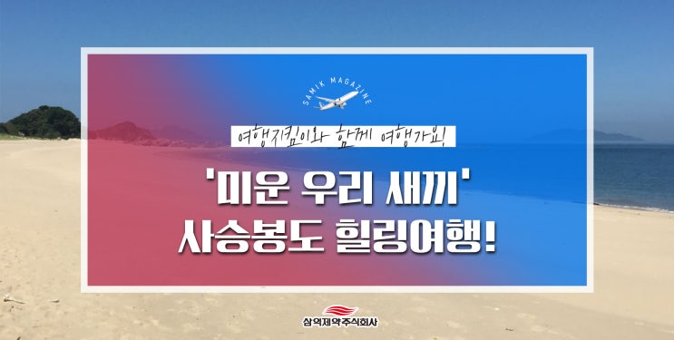  흥 넘치는 홍자매와 함께 떠나는 무인도! 미운우리새끼, 사승봉도 힐링여행~