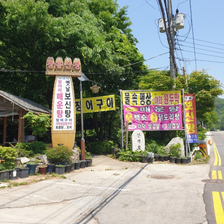  장흥유원지/계곡물에 발 담그고 맛있는 음식 먹을 수 있는 장흥 산장