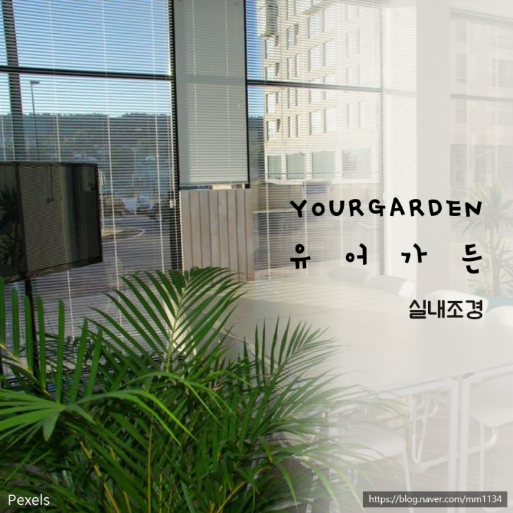 안성시청실내조경공사, 안성시청조경,시청조경, 실내조경, 실내조경공사 ,공공기관조경