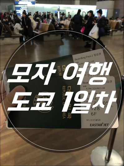  190217 일본자유여행/일본여행/일본자유여행코스/도쿄여행/도쿄자유여행/모자여행 <1일차>