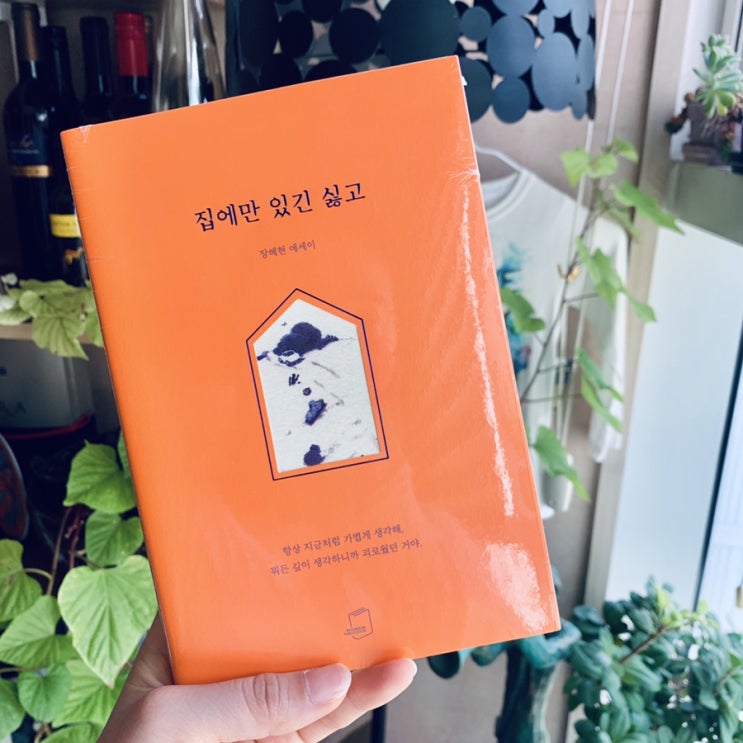  집에만 있기 싫고 _ 장혜현 에세이