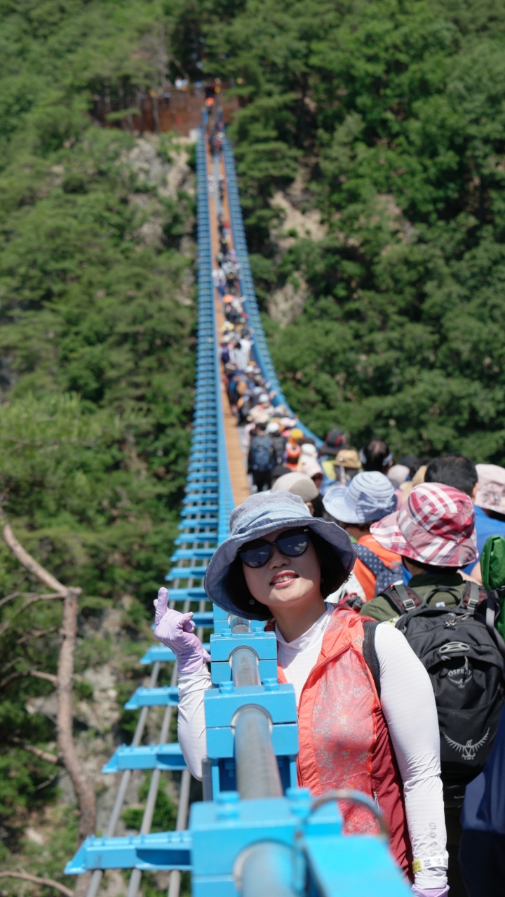  원주 소금산 출렁다리