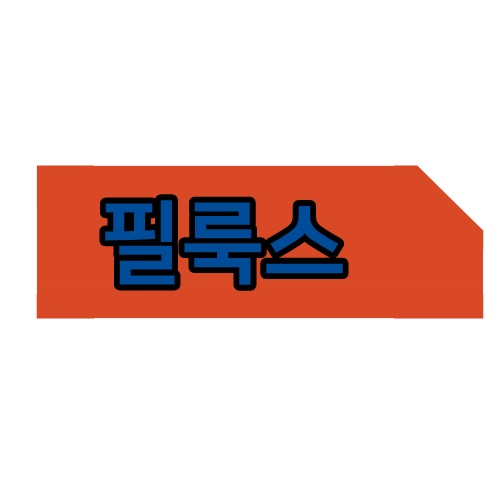  필룩스 삼본전자 경영권 현란한 드리블이네