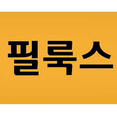  필룩스 주가 어떤 점을 살펴볼까