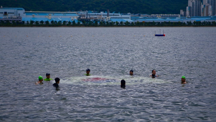  태화강 수영대회