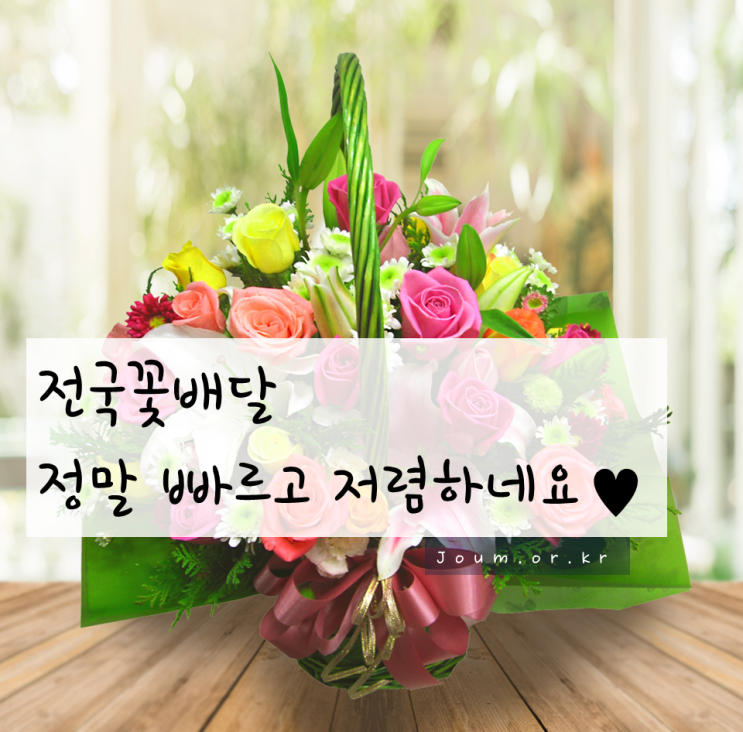  전국꽃배달로 저렴하게 득탬했어요~!
