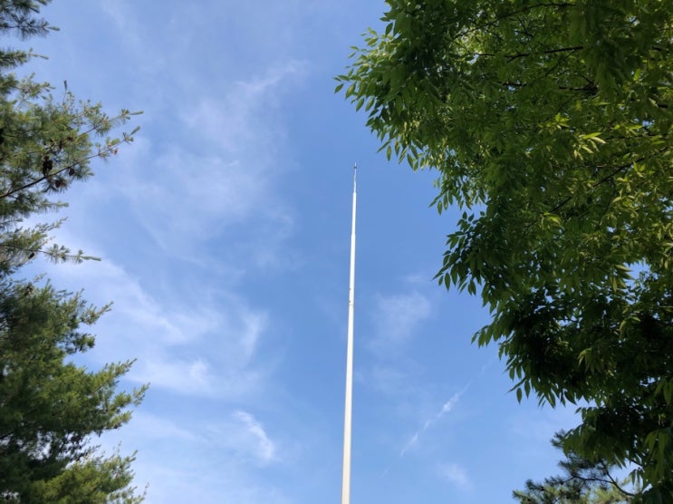  6월 일상-2