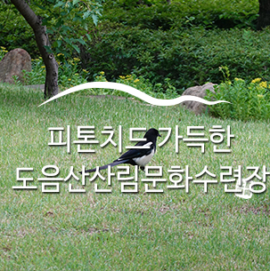  피톤치드 가득한 포항 도음산산림문화수련장 숲속을 걸어요! :: 포항여행지, 포항 여행, 주말여행