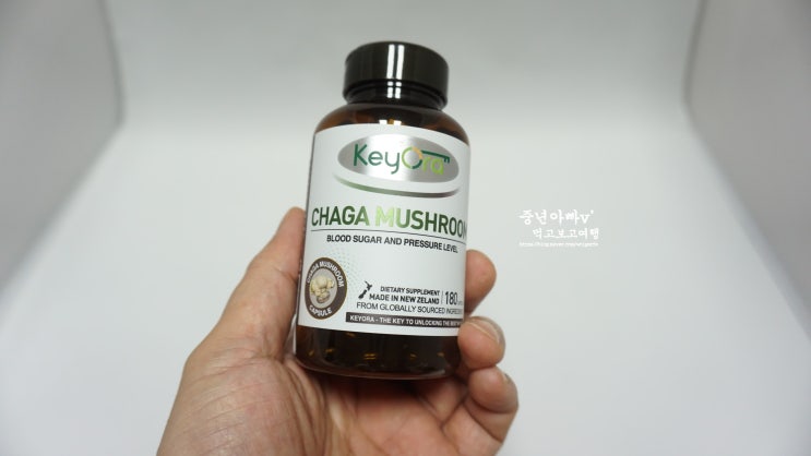  차가버섯, 뉴질랜드에서 온 차가버섯환.