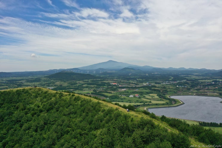  [제주] 영주산 '천국의 계단' 산수국