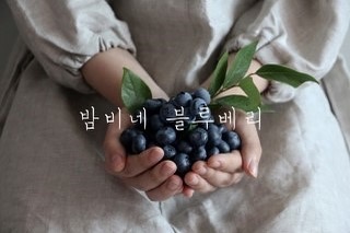  [프리뷰] 밤비네 블루베리, 무농약 블루베리 생과 1차 판매 오픈 (2019) -> 수요일 밤 8시 오픈