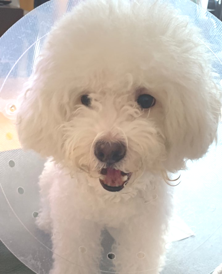  꼬질꼬질 우리 둥이