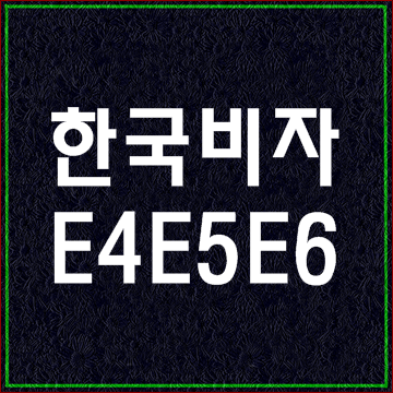  한국비자종류9 (E4 E5 E6비자)