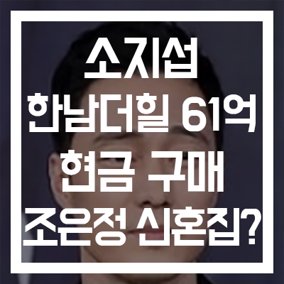  [소지섭조은정] 90평 '한남 더 힐' 61억 현금 구매 - 신혼집?