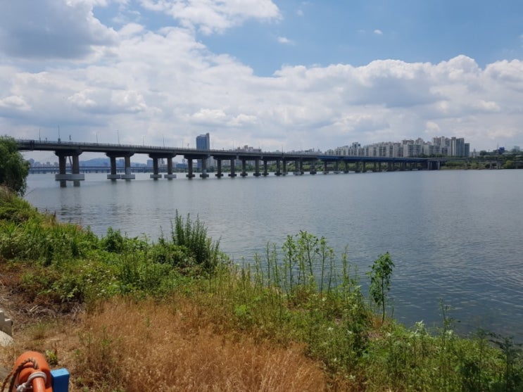  [한강공원] 여유있는 주말, 날씨 좋음을 한껏 만끽한 광나루 한강시민공원