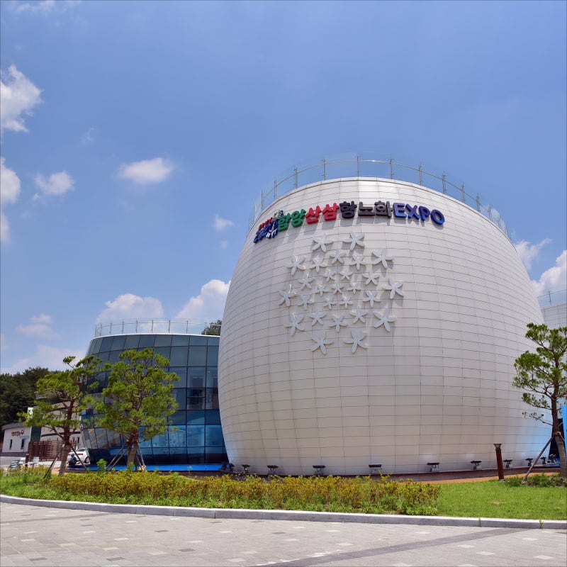 2019 함양산삼축제, 2020 1