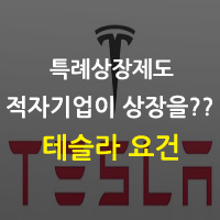  테슬라 요건 상장이란???