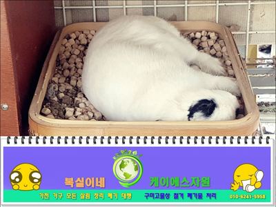  김천유품정리 상주유품정리 폐기 전문 대행 복실이네 / 칠곡유품정리 군위유품정리 철거 촌집폐기물 가정폐기물 가전 가수 버리기 대행 구미 대구