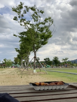  [구미가볼만한곳]낙동체육공원